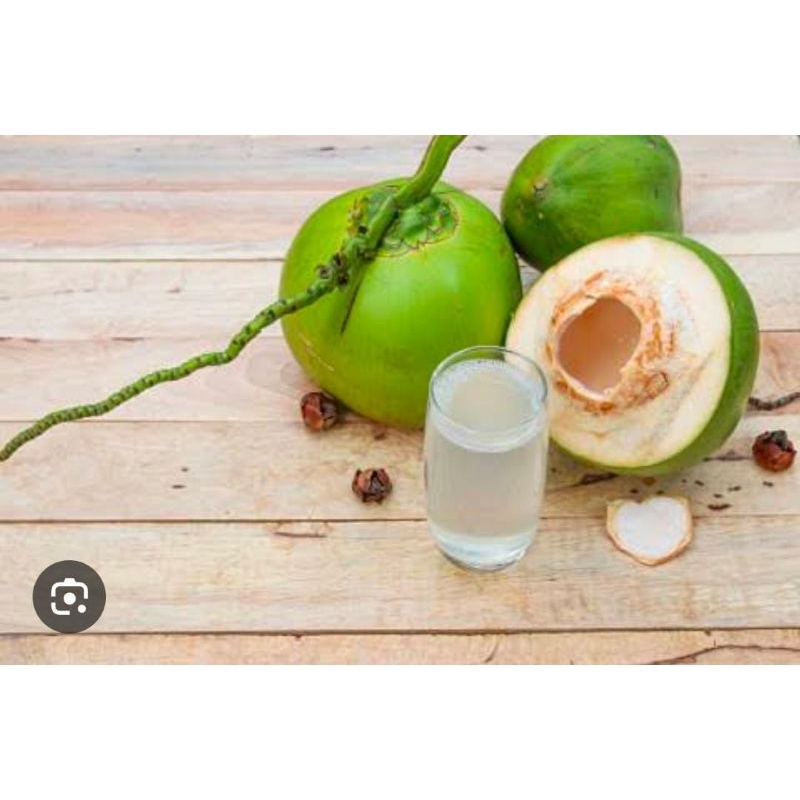 

Kelapa Hijau Muda Segar Fresh 1 Buah Baru Petik Termurah Obat Herbal