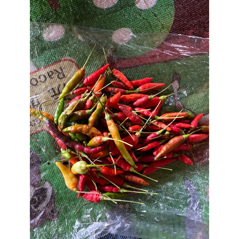 

cabe cabean