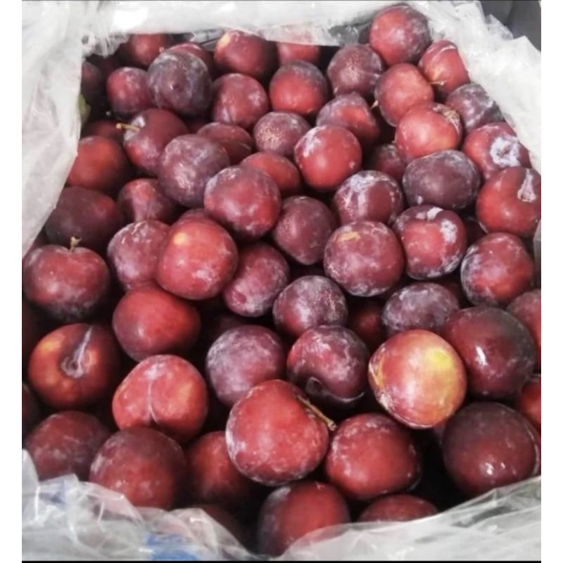 

buah plum segar fresh 1 box (buah diet)