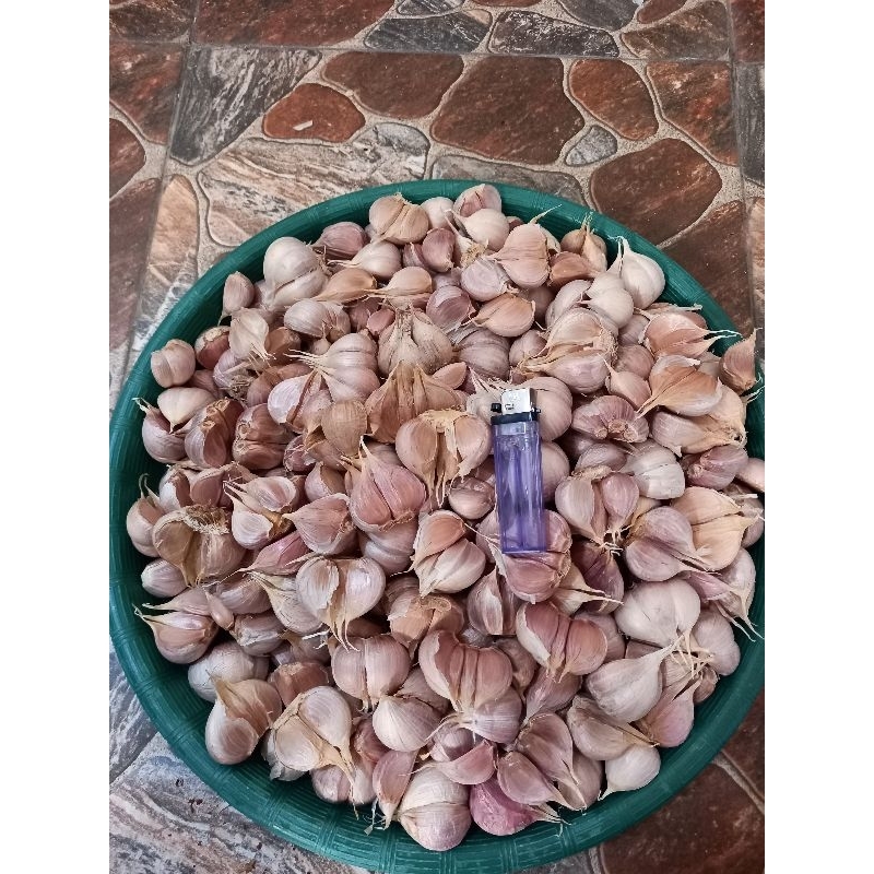 

Bawang Putih Kating 250 gram