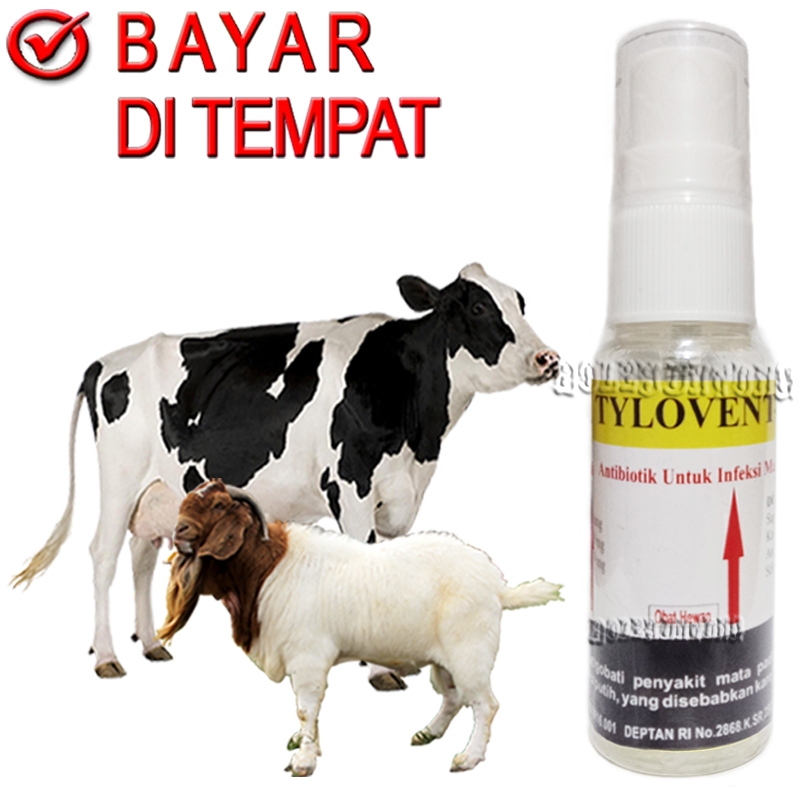 TYLOVENT Spray Obat Mata Sapi Kambing Sakit Infeksi Bengkak Merah Antibiotik Hewan Ternak