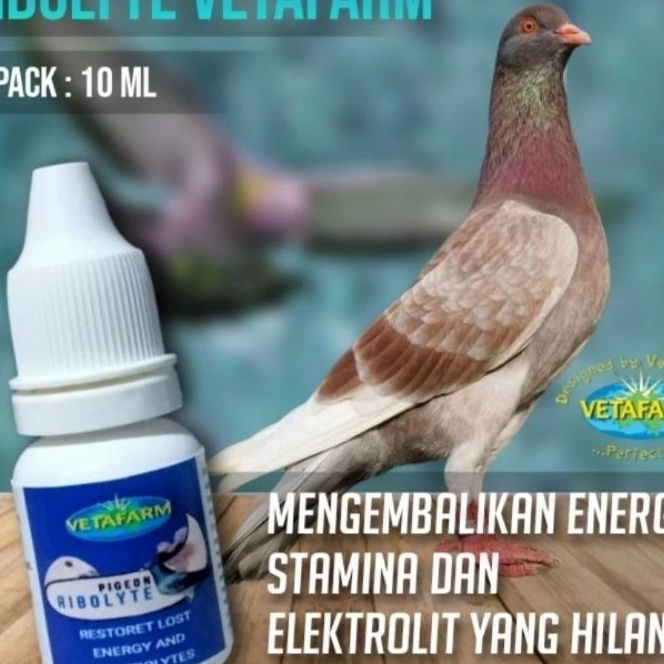 KP8 PIGEON REBOLYTE VETAFARM 1 ML REBOLYTE PENAMBAH PERFORMA BURUNG MERPATI