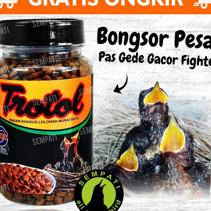 FG2 PAKAN LOLOH BURUNG MURAI BATU TROTOL PREMIUM EBOD JAYA TOPLES PAKAN LOLOHAN PIYIK BURUNG MURAI T