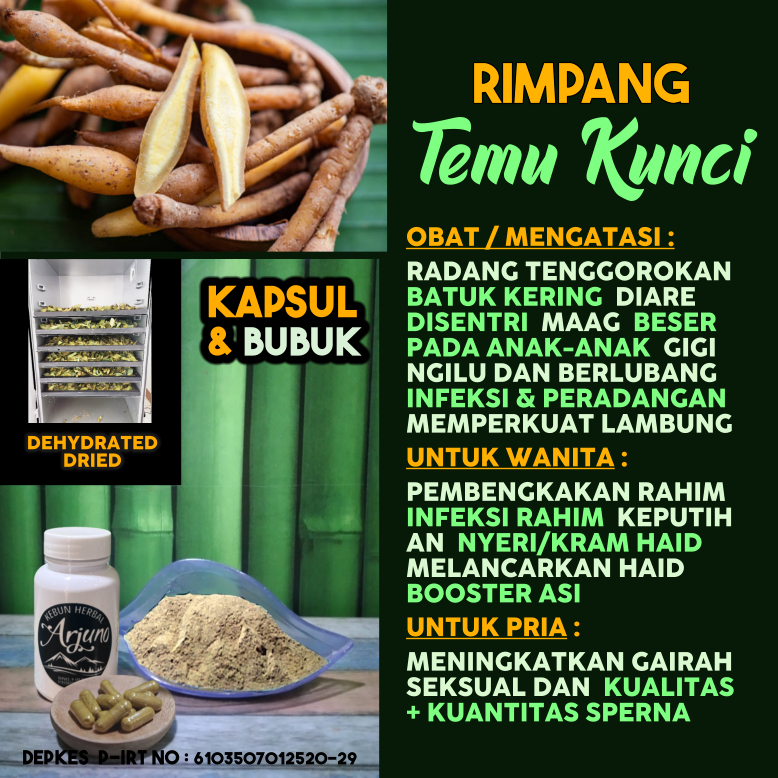 

Dehydrated Dried Bubuk & Kapsul Temu Kunci Obat Batuk Kering Maag Beser Keputihan (Pembengkakan Infeksi Rahim) Gairah Libido Pria Kualitas Kuantitas Sperma Booster ASI DLL Herbal Alami