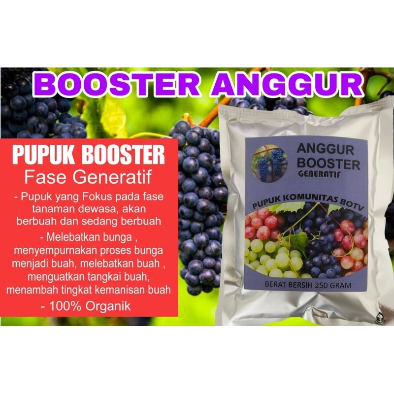 Pupuk Booster Anggur Generatif Organik