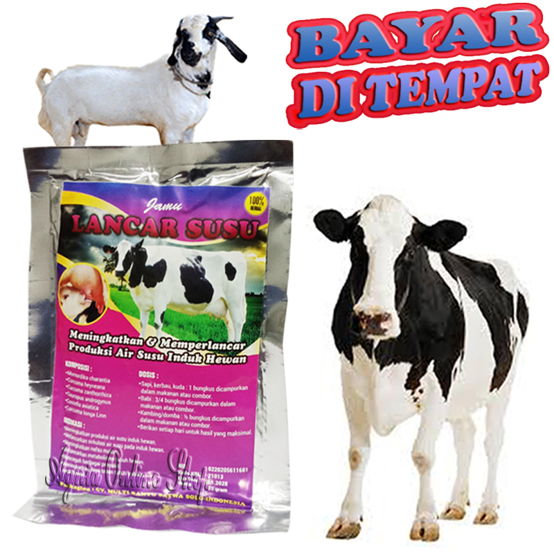 Vitamin Penambah Air Susu Sapi Kambing Kerbau Domba LANCAR JAMU Untuk Perah Indukan