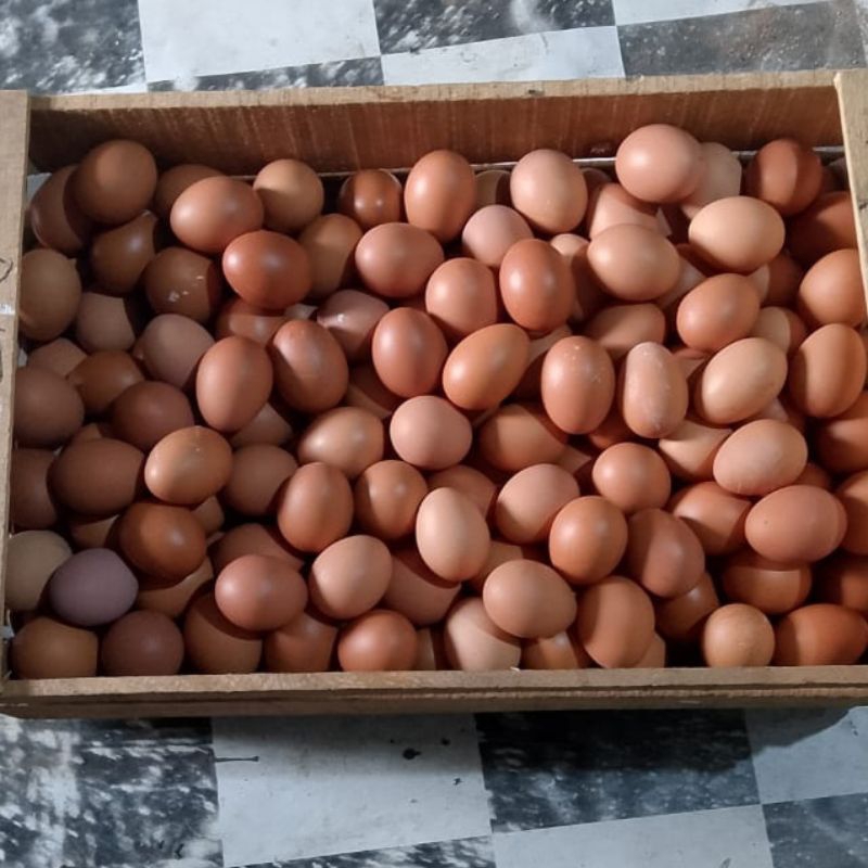 

Telur Negeri 250gr
