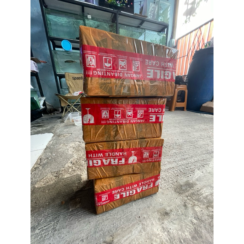 Auranti grade B ringan (minus bengkok,sehat)