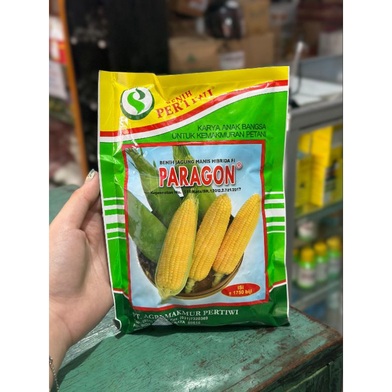 Benih jagung manis PARAGON