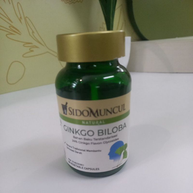 GINKGO BILOBA SIDOMUNCUL