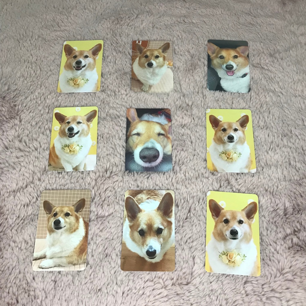 PC BAEKHYUN MONGRYEONG TEOLAEGI