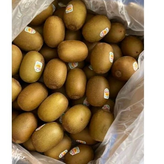 

Kiwi Zespri Sungold Fresh Premium