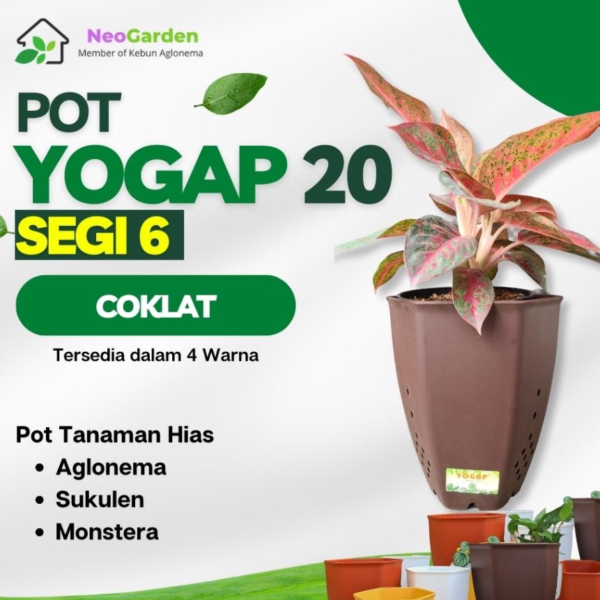 Potongan POT SEGI 6 YOGAP 2  Pot plastik segi enam ukuran 2 murah awet untuk bunga tanaman hias kakt