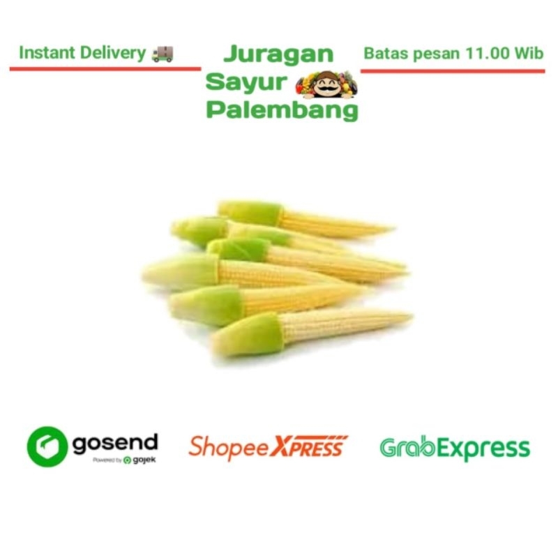 

Jagung Kecil - Juragan Sayur Palembang