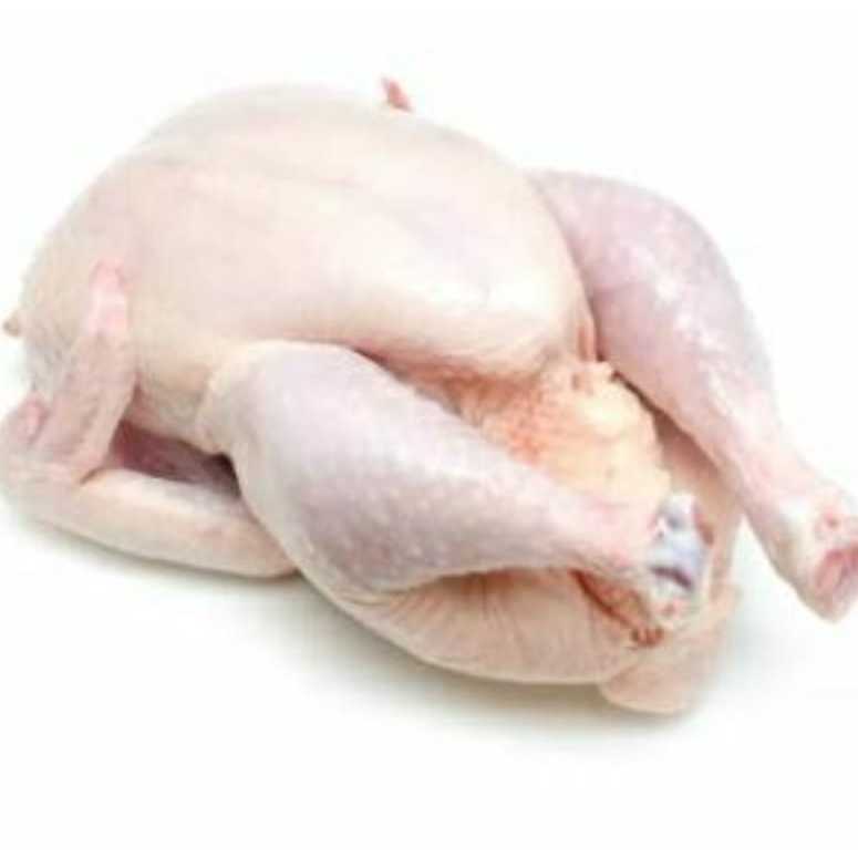 

Karkas Ayam Ukuran 700-800 gram