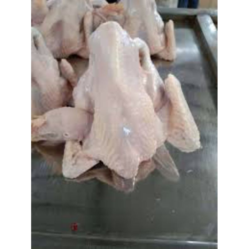

ayam pejantan perekor/1,2kg