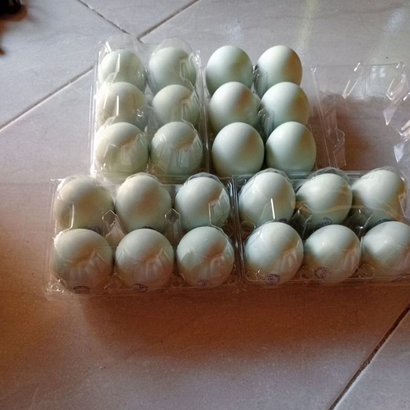

telur asin