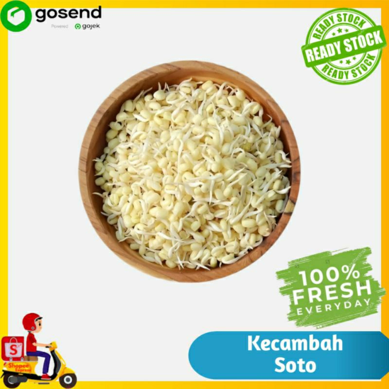 

kecambah soto / toge / tauge soto - sayur segar - Tukang Sayur Palembang