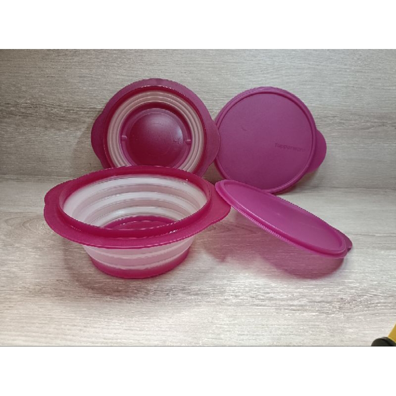 TUPPERWARE GO FLEX Bowl