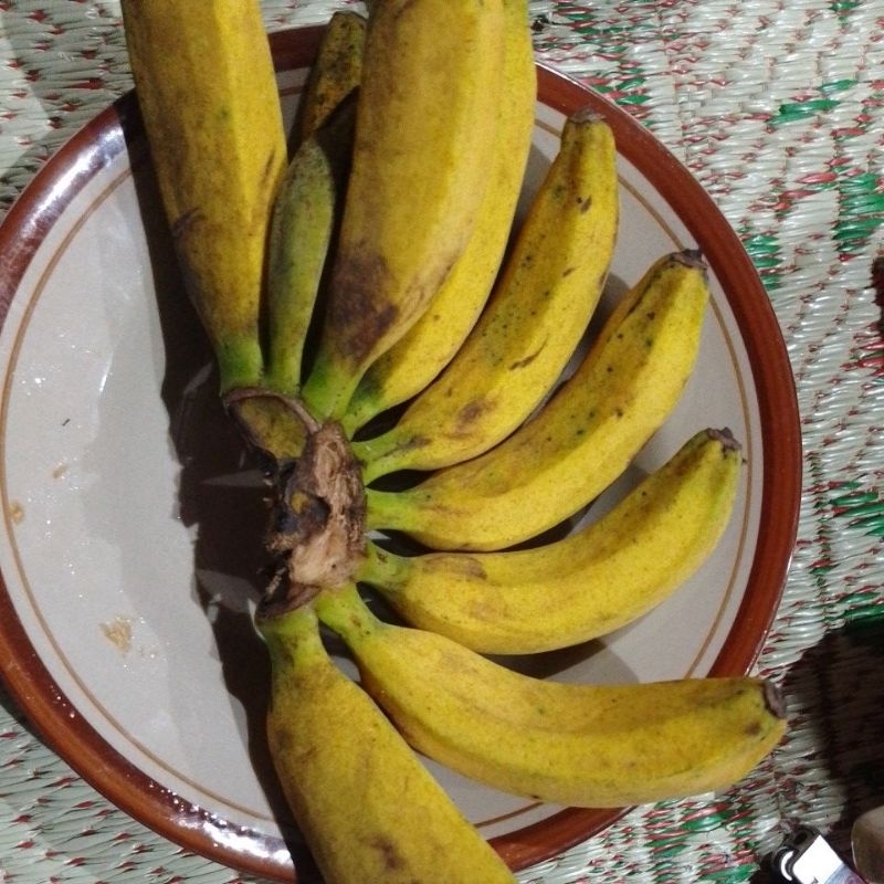 

pisang raja