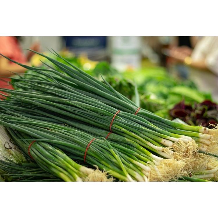 

Daun Bawang Kecil - Sayur Segar Instan Malang