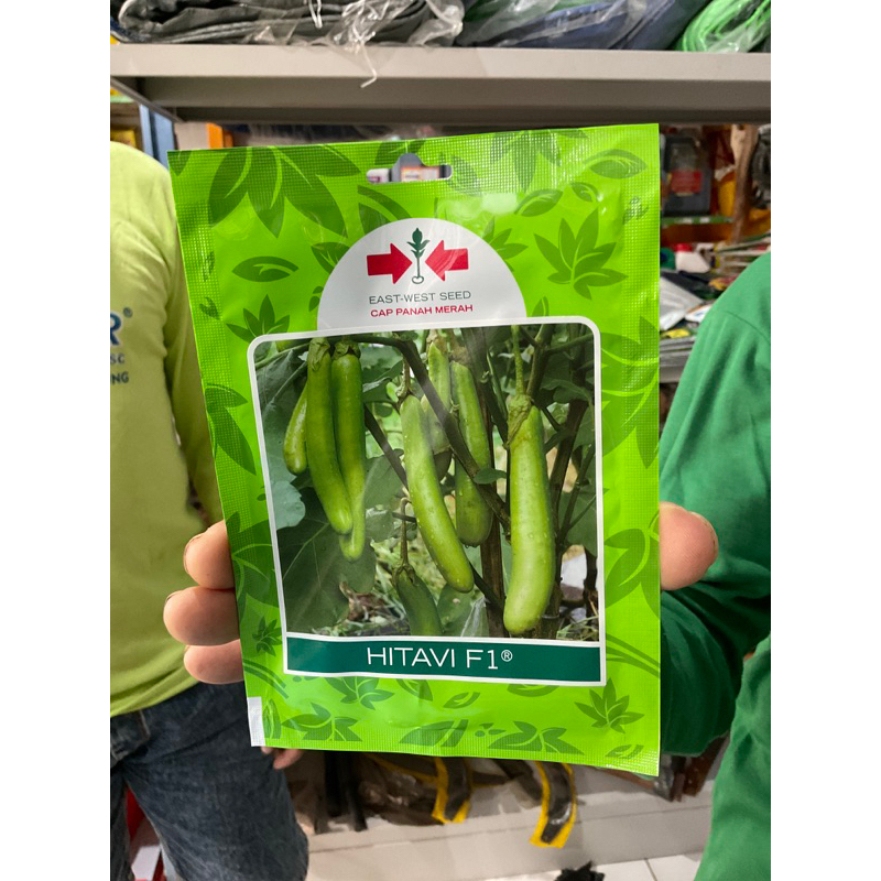 BIBIT PANAH MERAH TERONG HIJAU HITAVI F1 400 butit