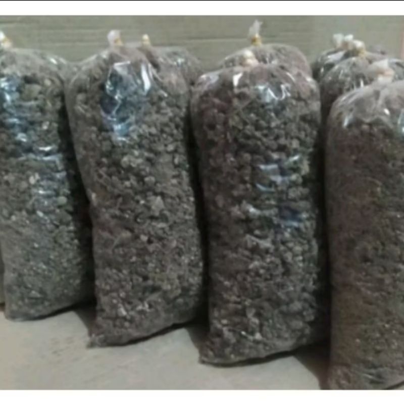 KOHE puyuh Kering 1kg Kotoran puyuh Kering