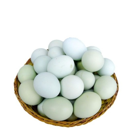 

TELUR BEBEK TAWAR PER BUTIR