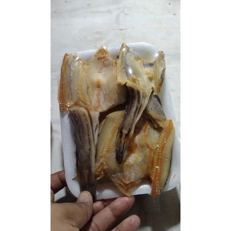 

Ikan Asin Aysha&Azkia