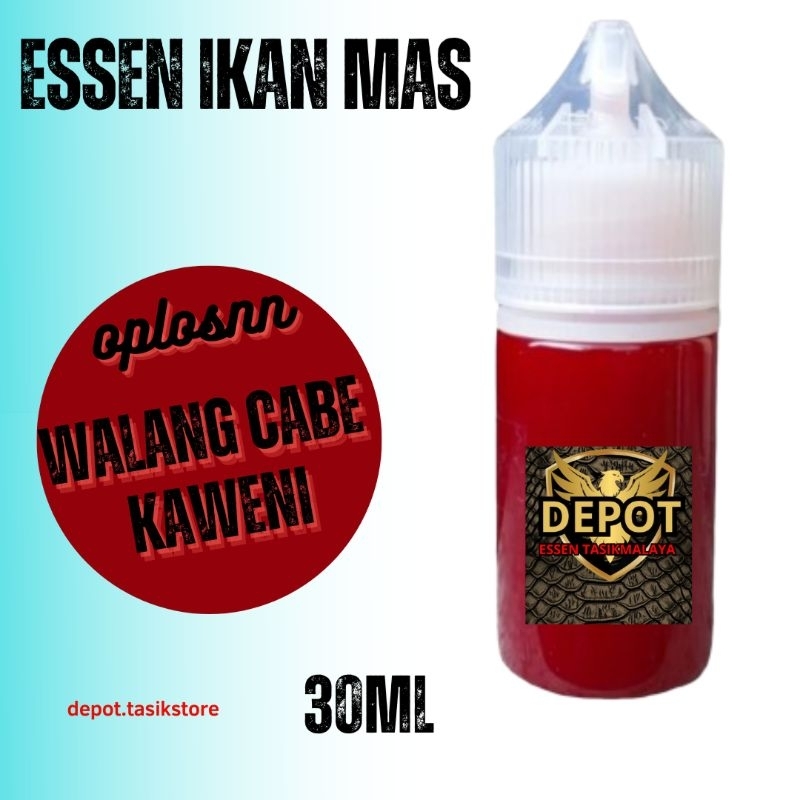 essen ikan mas essen oplosan ikan mas walang cabe kaweni essen ikan mas induk