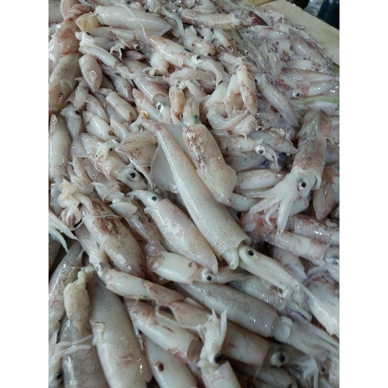 

PROMO CUMI CENDOL / CUMI SERO