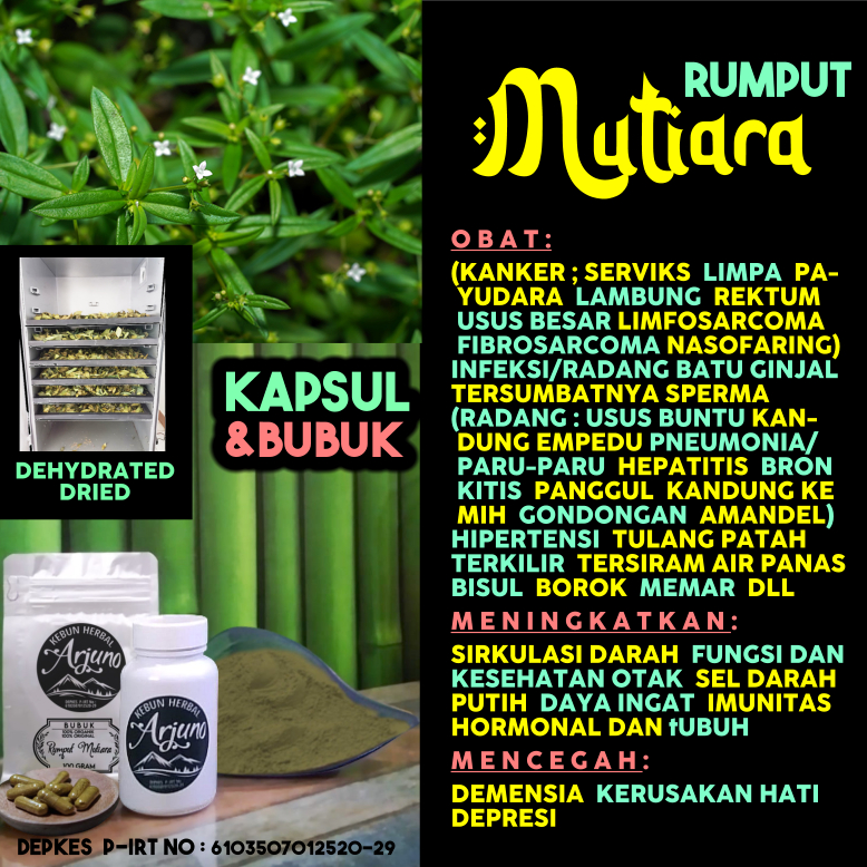 

Dehydrated Dried Kapsul Bubuk Rumput Mutiara Obat (Kanker Serviks Limpa Lambung Payudara Usus DLL) Usus Buntu (Radang Paru-Paru Ginjal Hepatitis Amandel panggul kandung Kemih) Hipertensi Terkilir Tersiram Air Panas Tulang Patah Herbal Alami