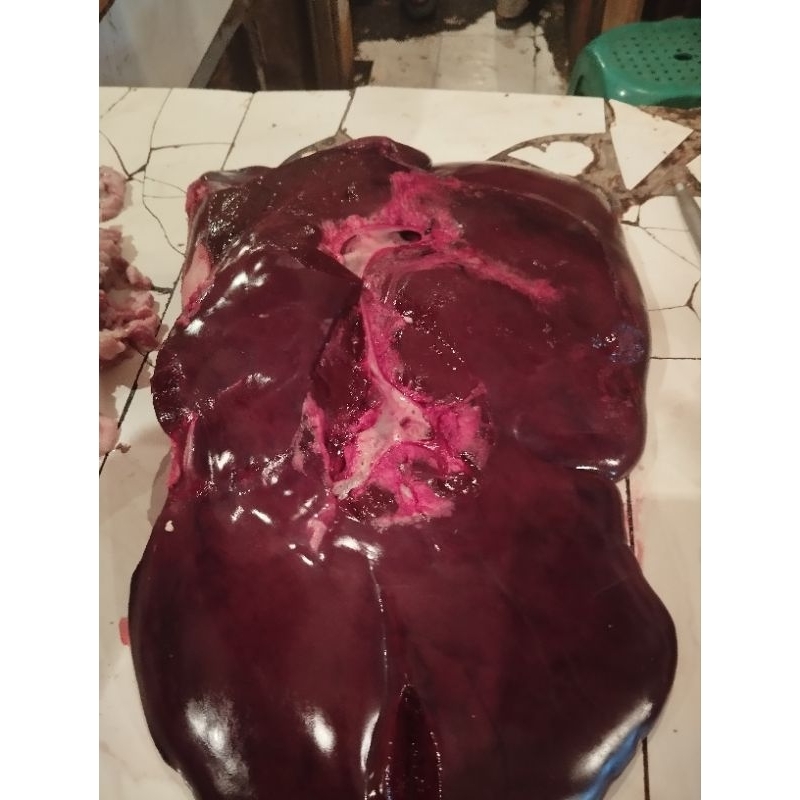 

Hati Sapi 500gr/1000gr