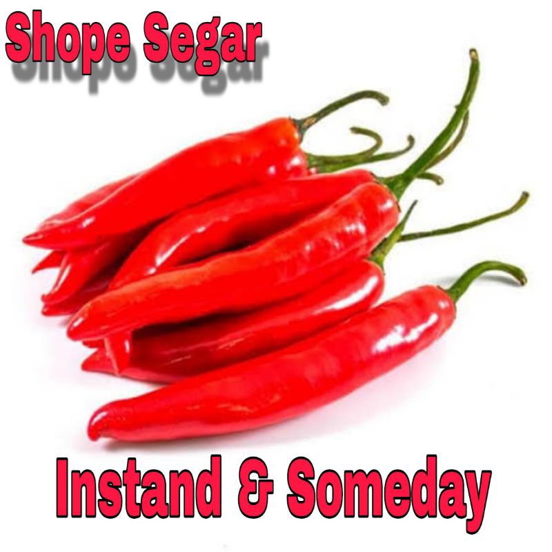 

Cabe Tewe Merah Cabai Merah Besar KIRIM INSTAN & SAMDAY