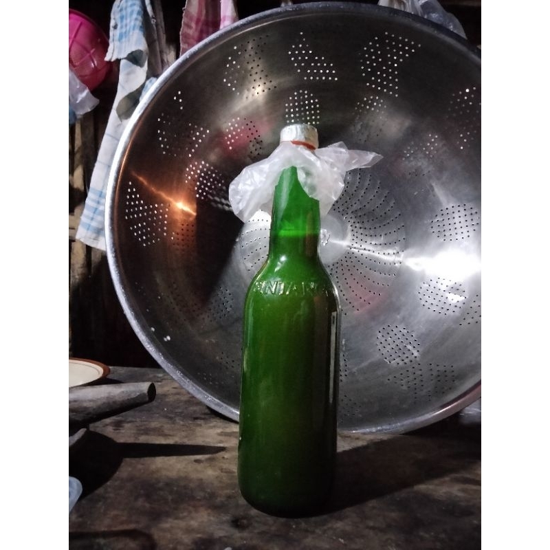 

madu asli hutan gunung wilis