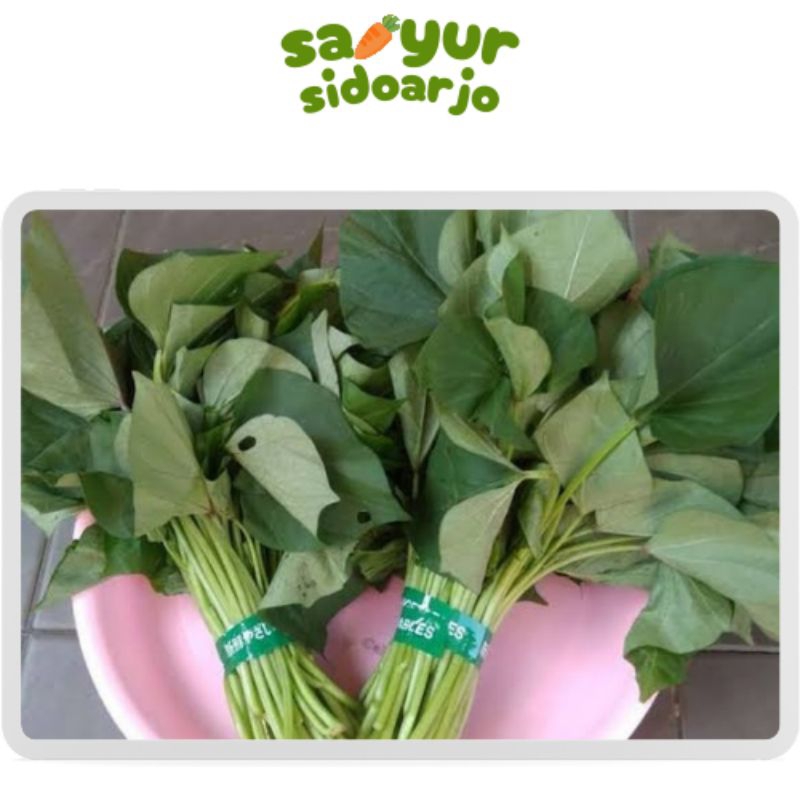 

Daun Ubi 1 ikat sayursidoarjo