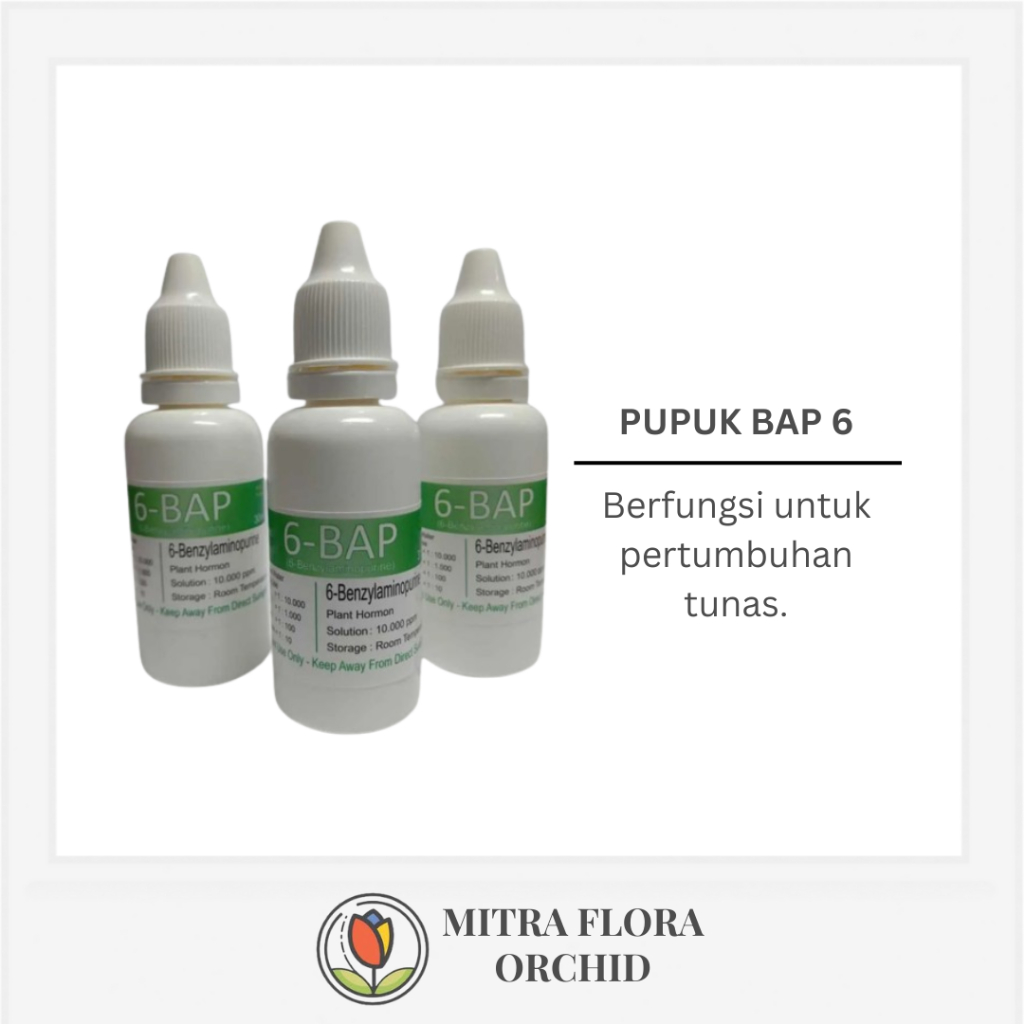 Pupuk 6 BAP Anggrek
