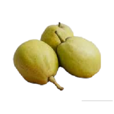 

Pear Xianglie 1000gr Buah Import Buah Pir Segar