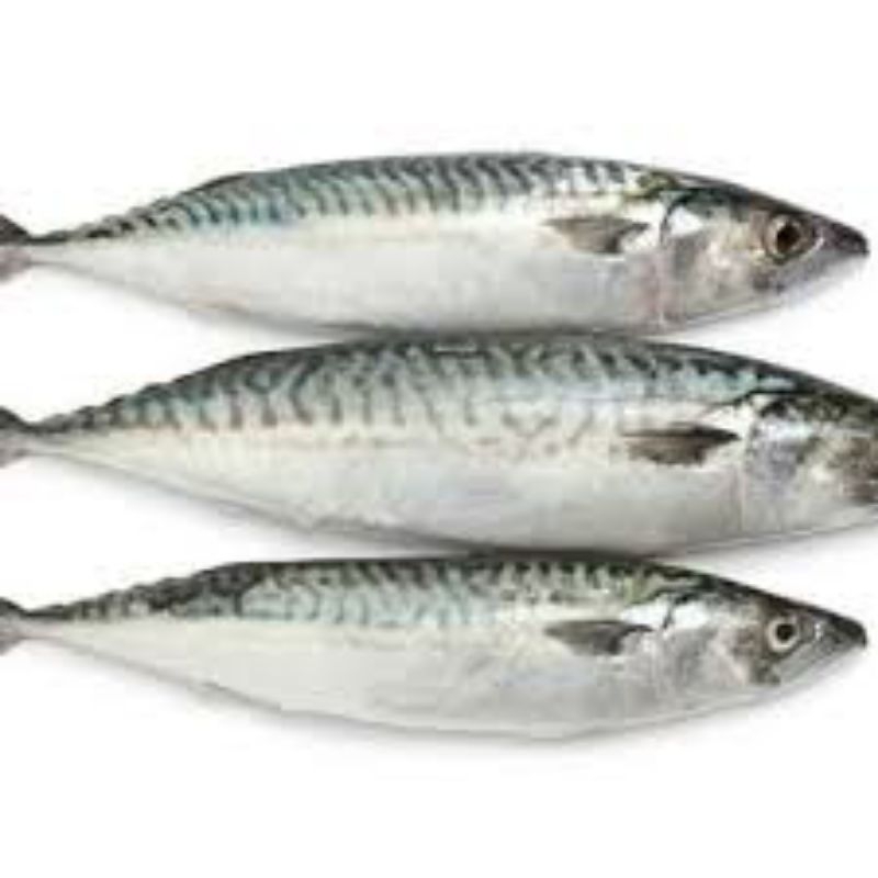 

ikan kembung Banjar 1kg