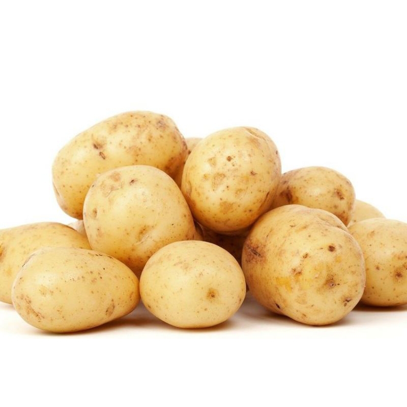 

kentang segar 1kg murah