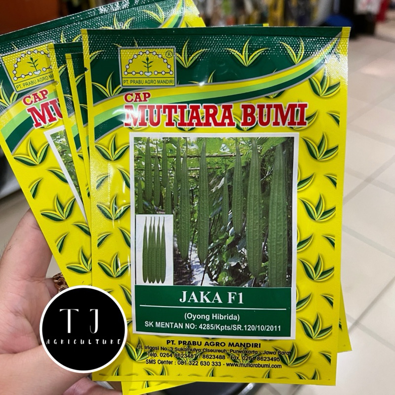Benih Oyong Jaka F1 10gr Mutiara Bumi
