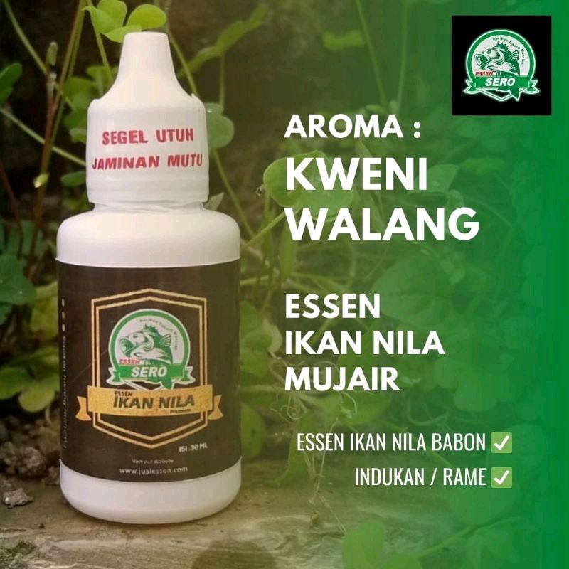 Essen Ikan Nila/Mujair Indukan/B4bon dan Rame/Essen Ikan Nila Aroma Kweni Walang/Essen Sero Multifun