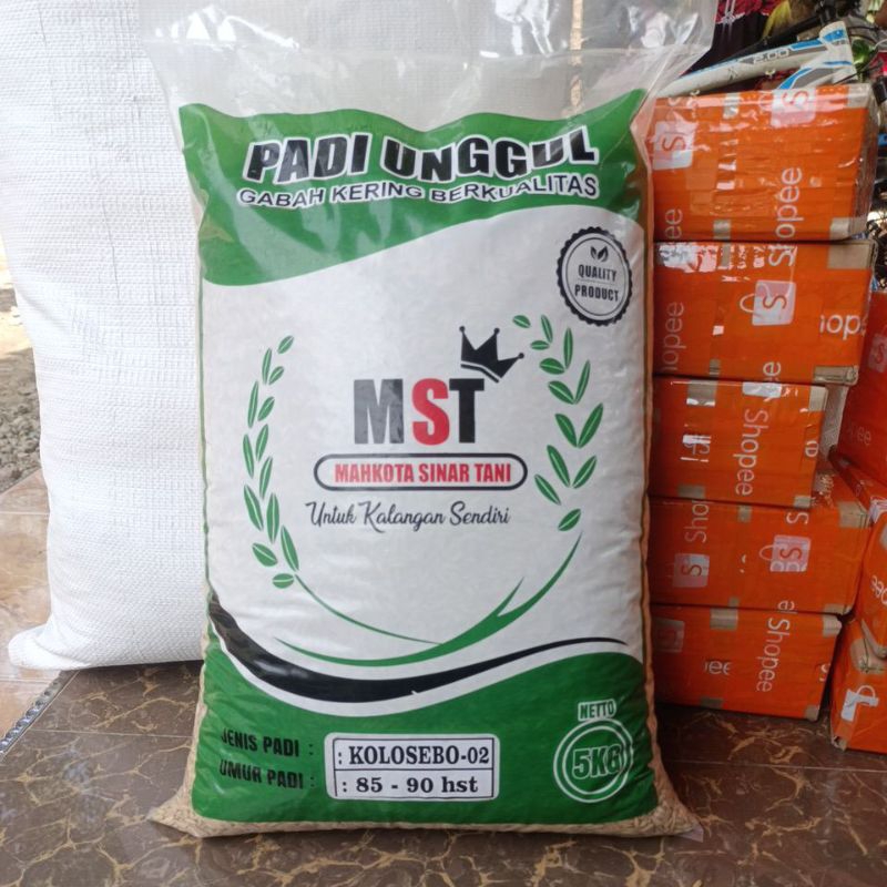 Benih padi KOLOSEBO 02  original kemasan 5kg