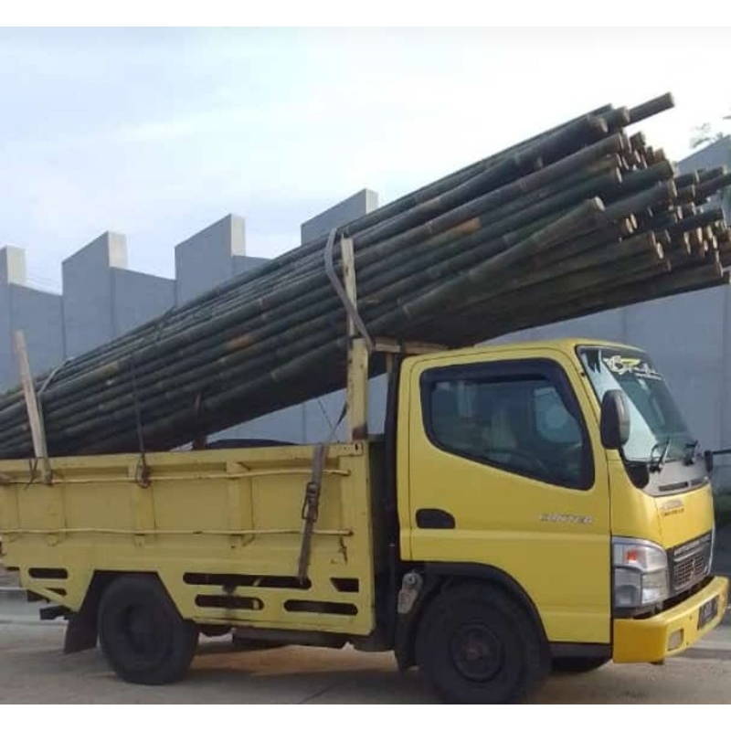 100 Batang bambu diameter 6-7-8 panjang 6 meter