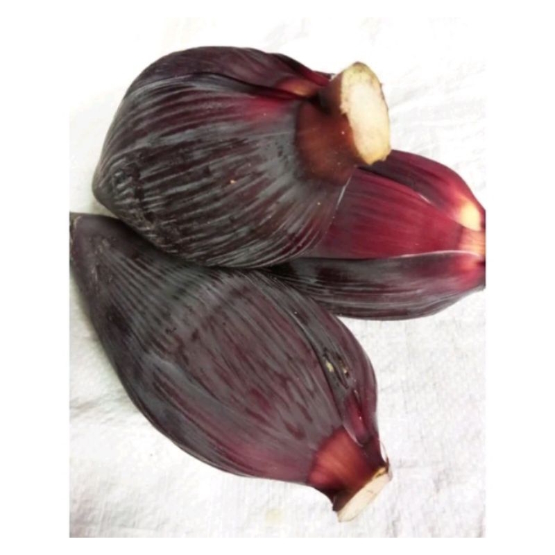 

jantung pisang raja bulu