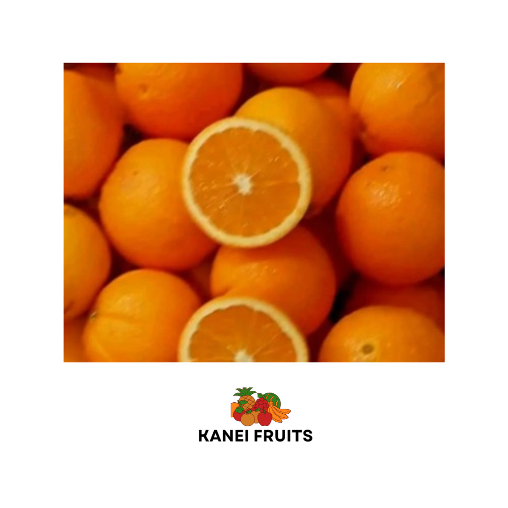 

JERUK SUNKIST SEGAR | 1 KG ++