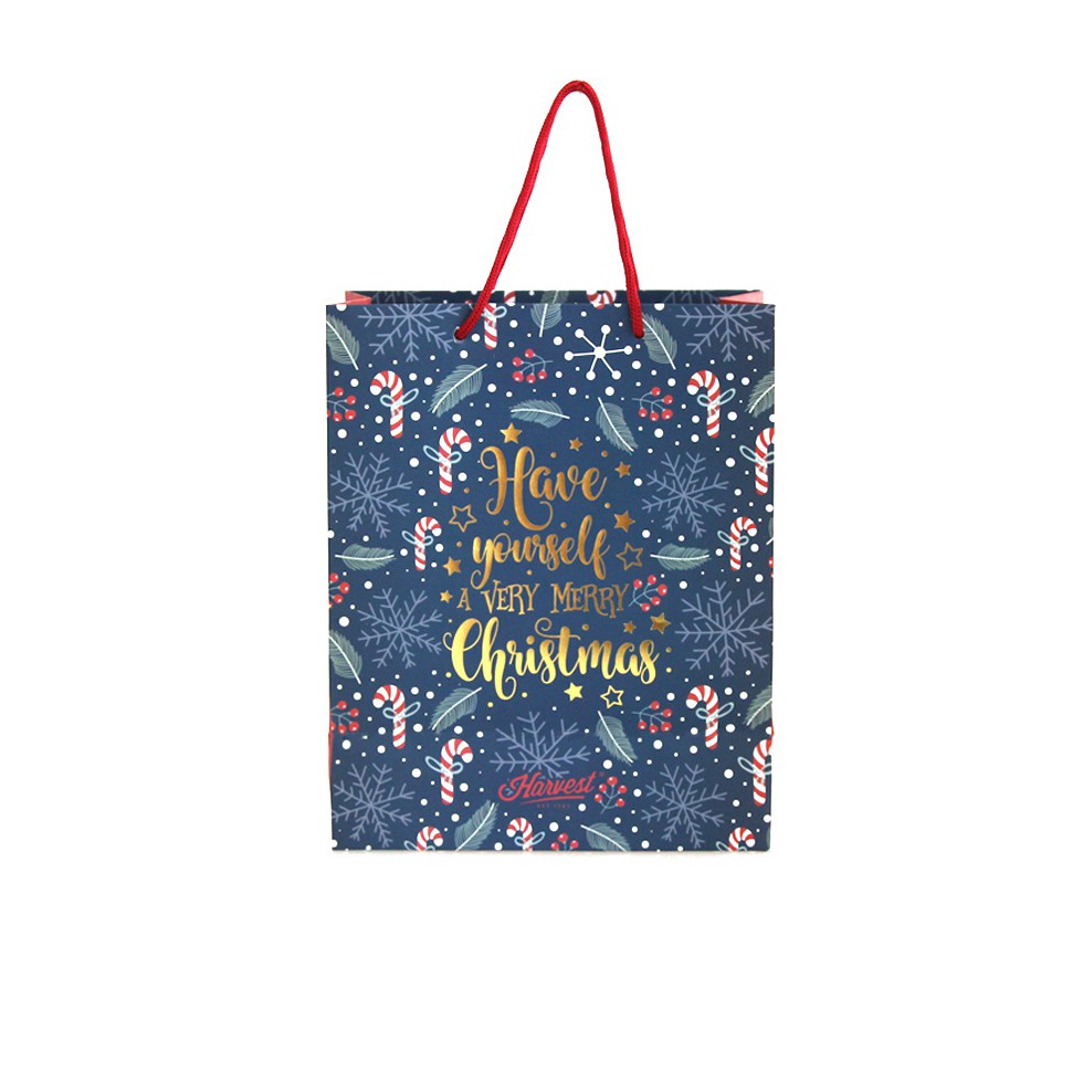 

SPONTAN Paper Bag Natal Christmas Xmas Carol Navy