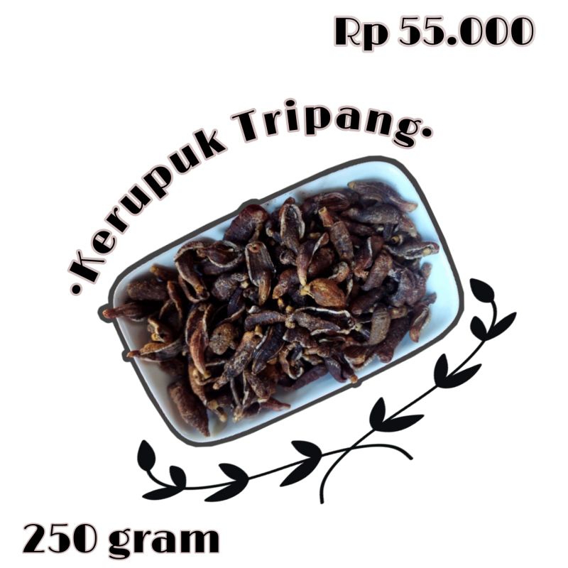 

teripang | oleh oleh khas kenjeran amanatillah