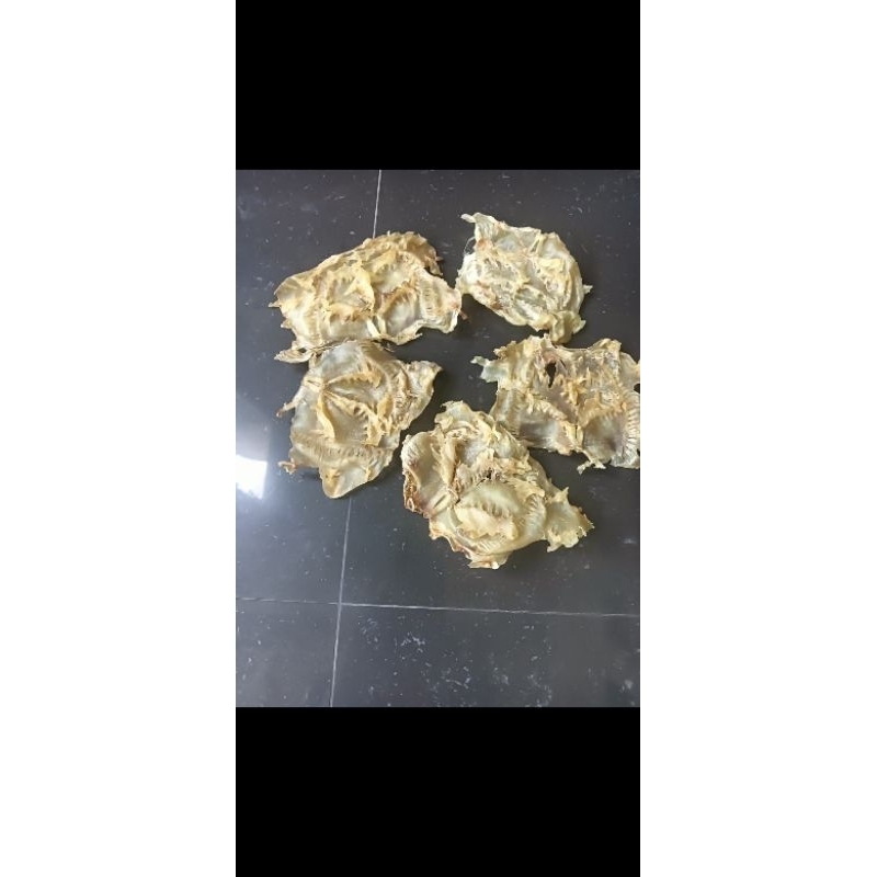 

HIPIO SUPER /PERUT IKAN JUMBO 1 kg/MENTAH