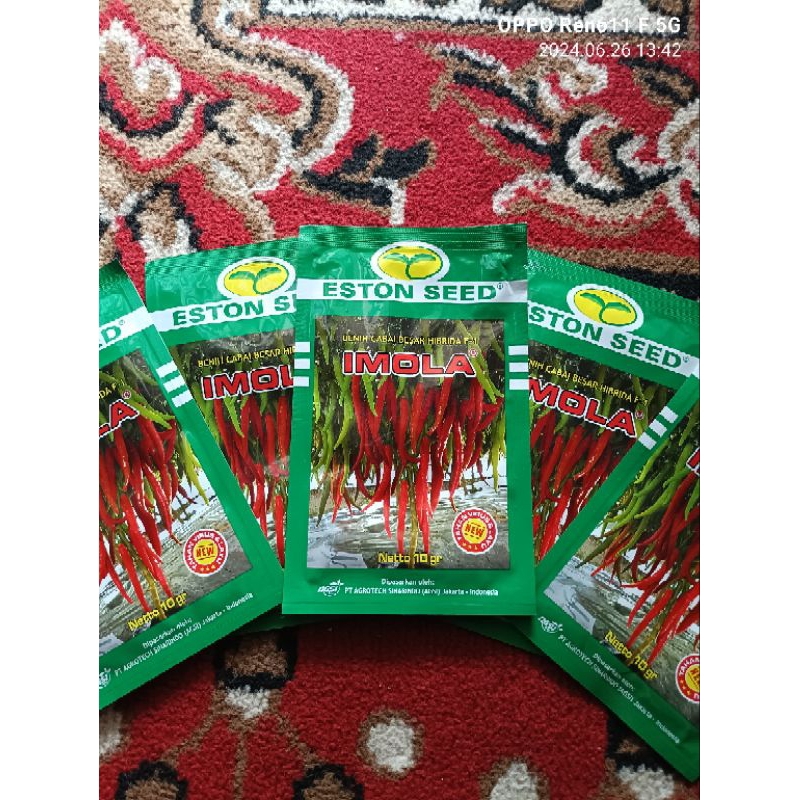 benih cabai besar IMOLA NEW isi 10gr expayert  24-09-2026